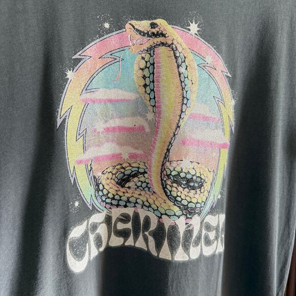 MOTHER | The Goodie Goodie Oversized Cobra Charmer Tee Gray | Medium - Picture 4 of 6